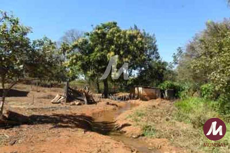 Quintal/corredores — foto 12