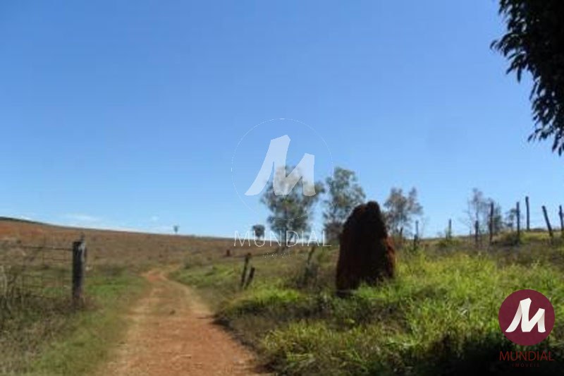 Quintal/corredores — foto 15