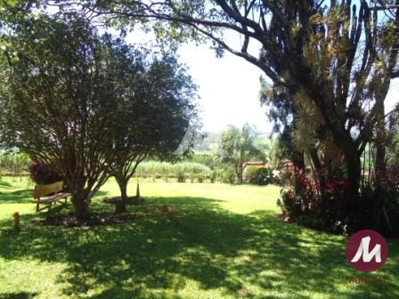 Outras — foto 19