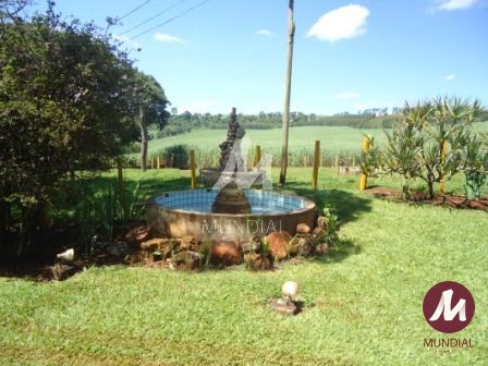 Outras — foto 29