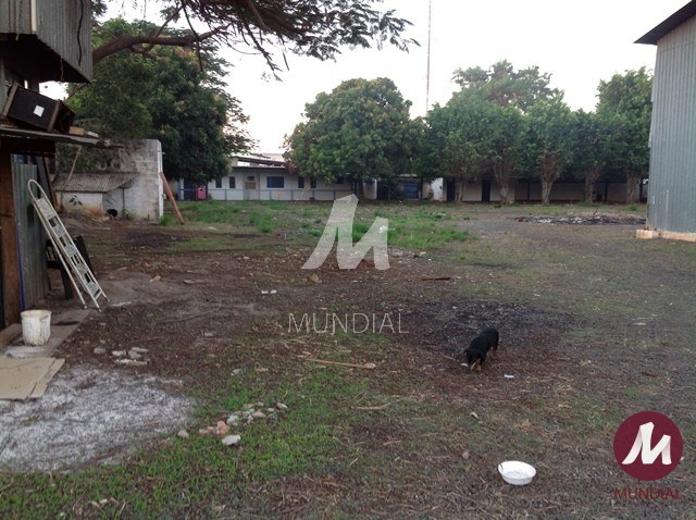 Salão — foto 6