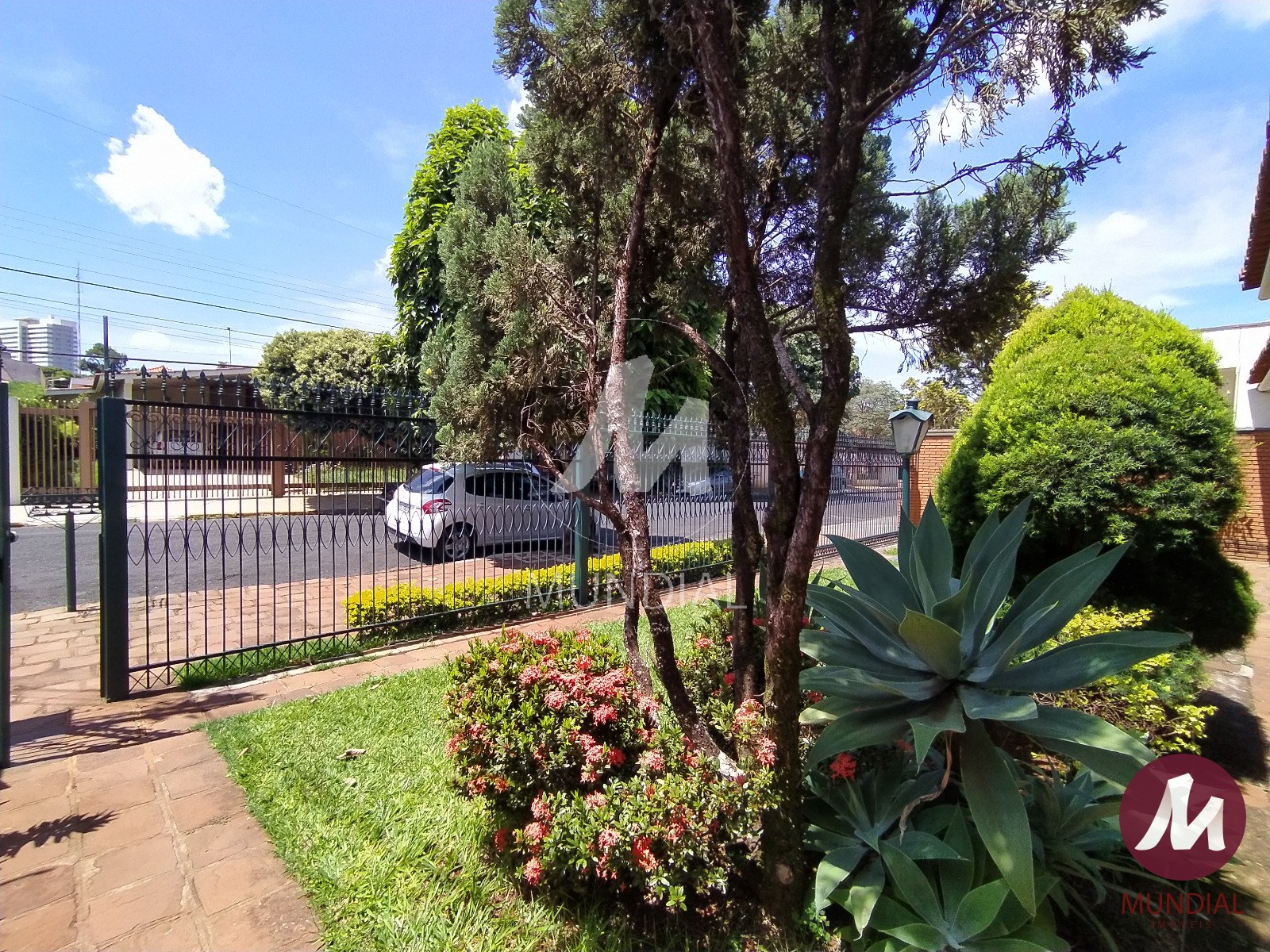 Jardim — foto 41