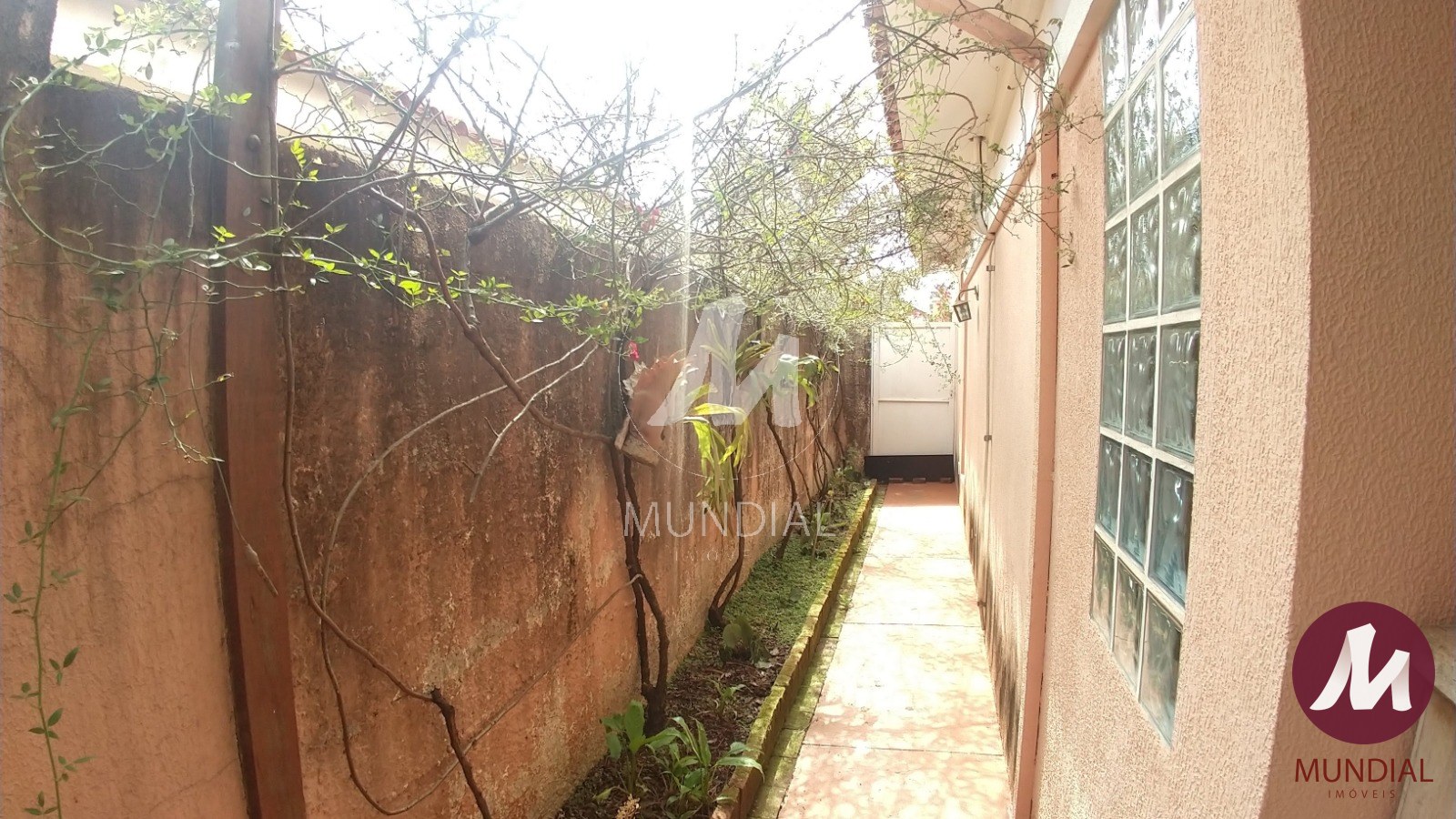 Quintal/corredores — foto 23