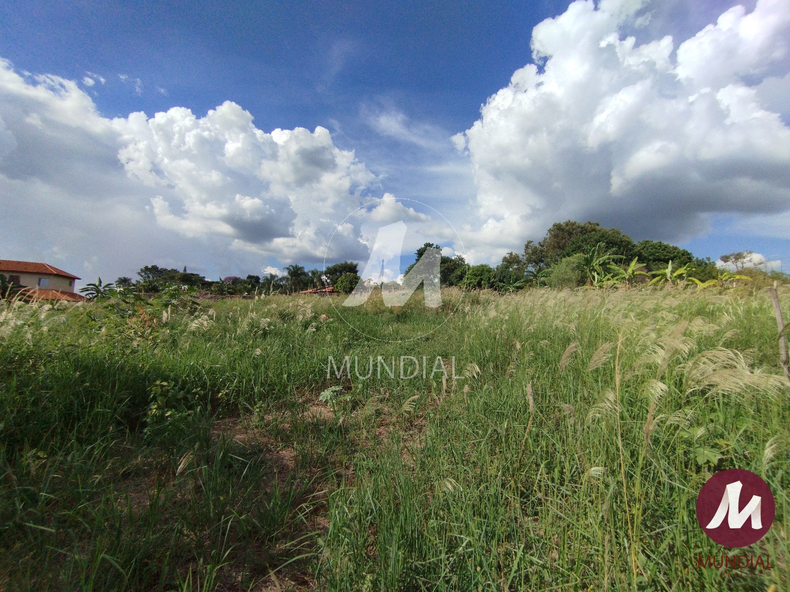 Terreno/Lote — foto 8