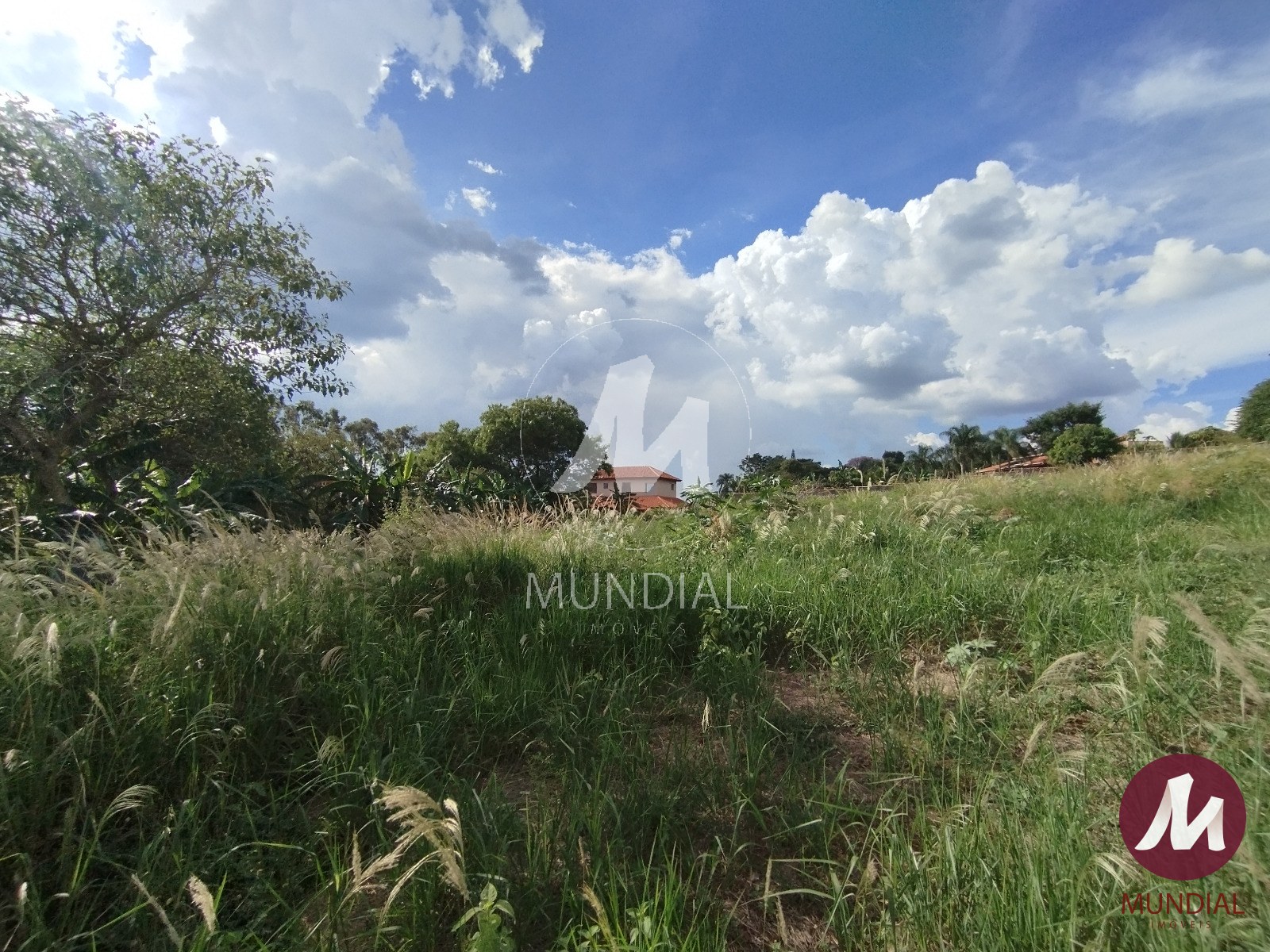 Terreno/Lote — foto 9