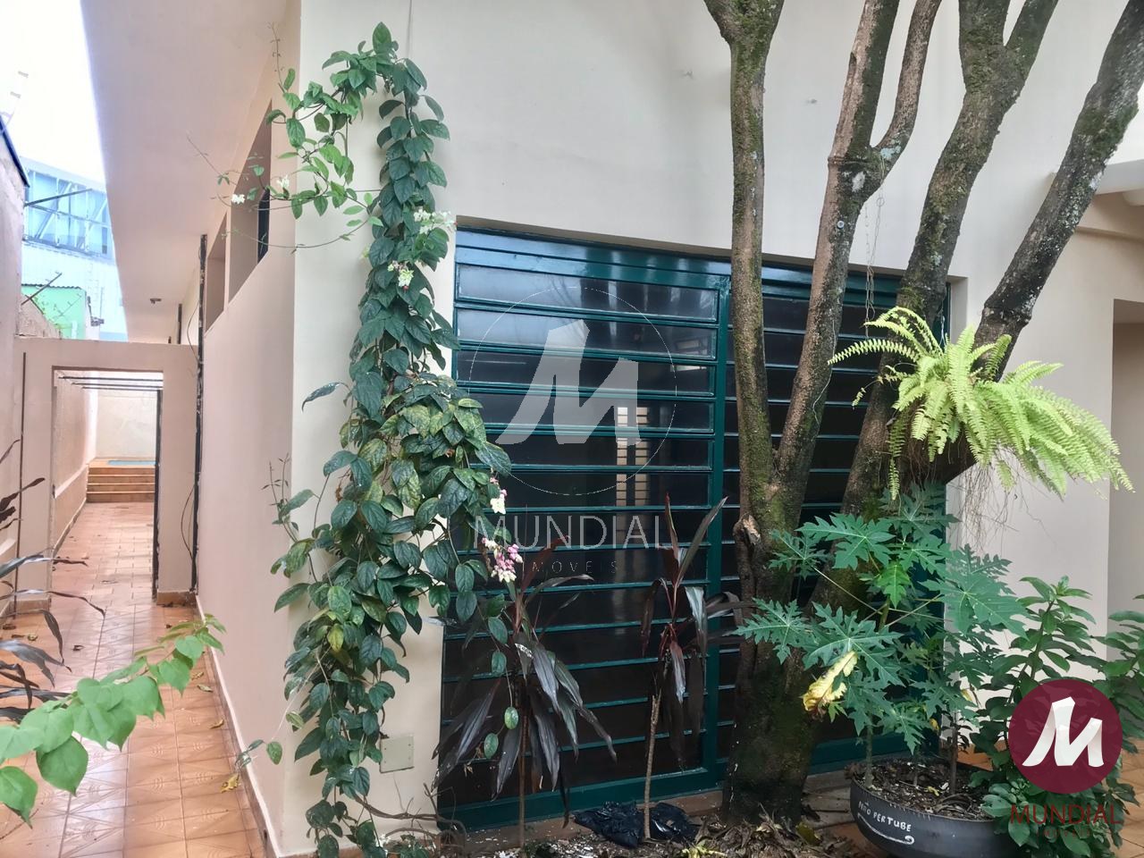 Quintal/corredores — foto 4