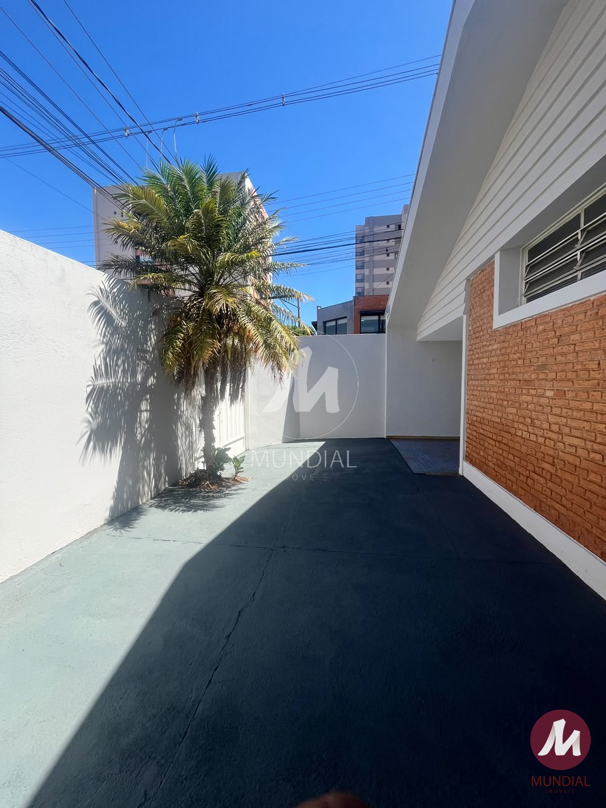 Quintal/corredores — foto 3