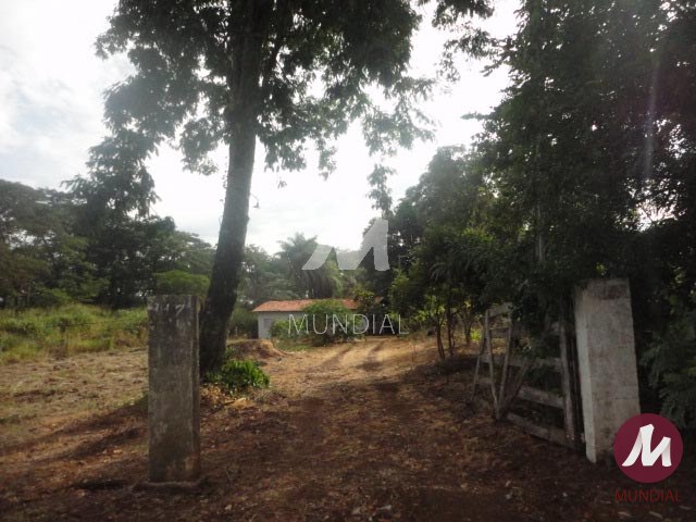 Lazer Unidade — foto 11