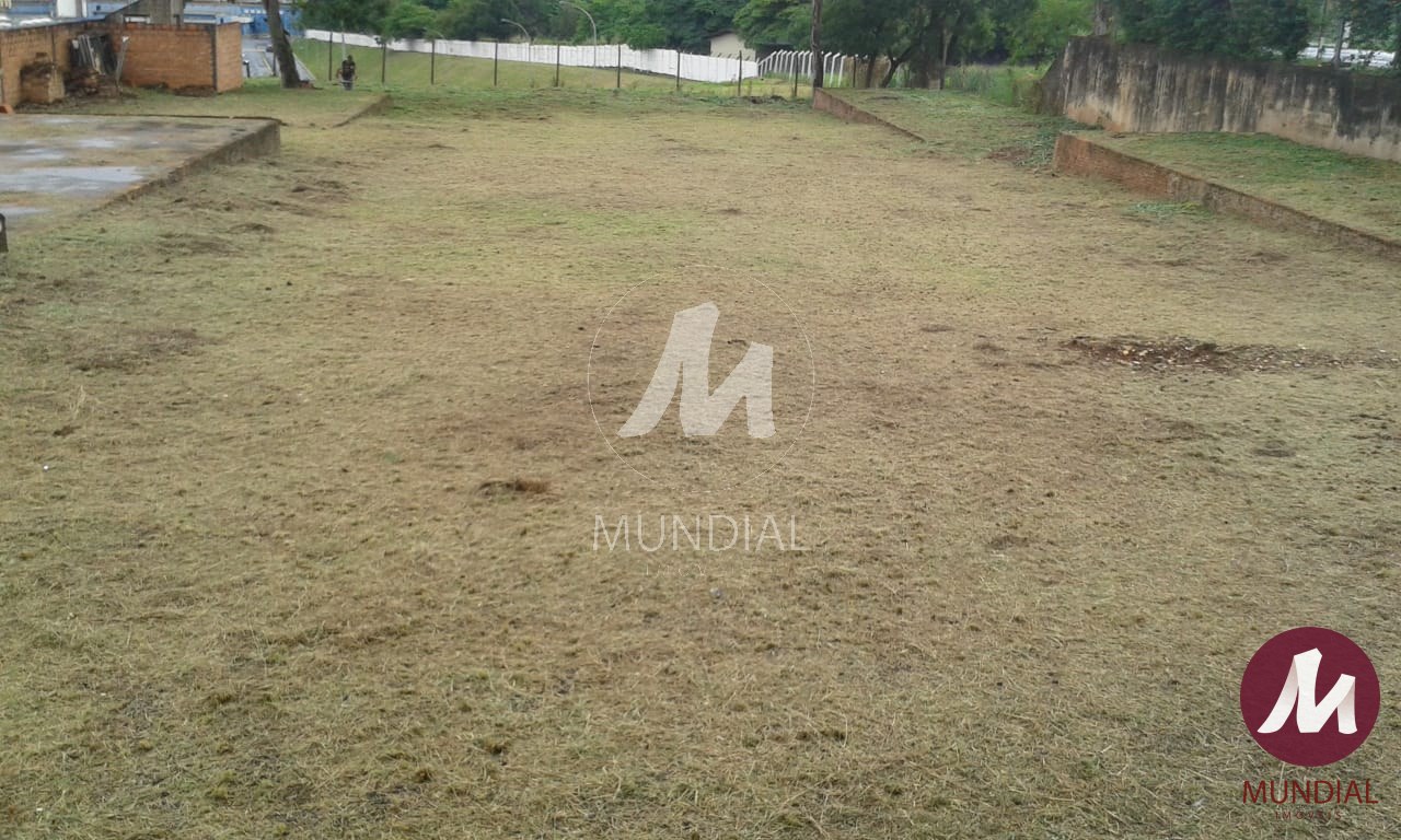 Lazer Unidade — foto 13
