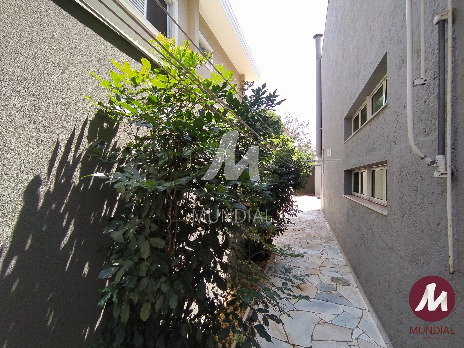 Quintal/corredores — foto 38