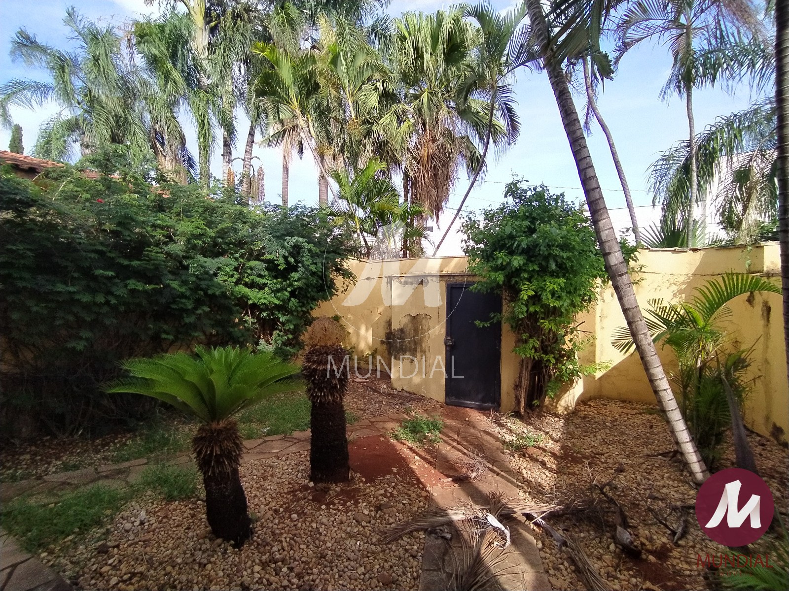 Jardim — foto 22