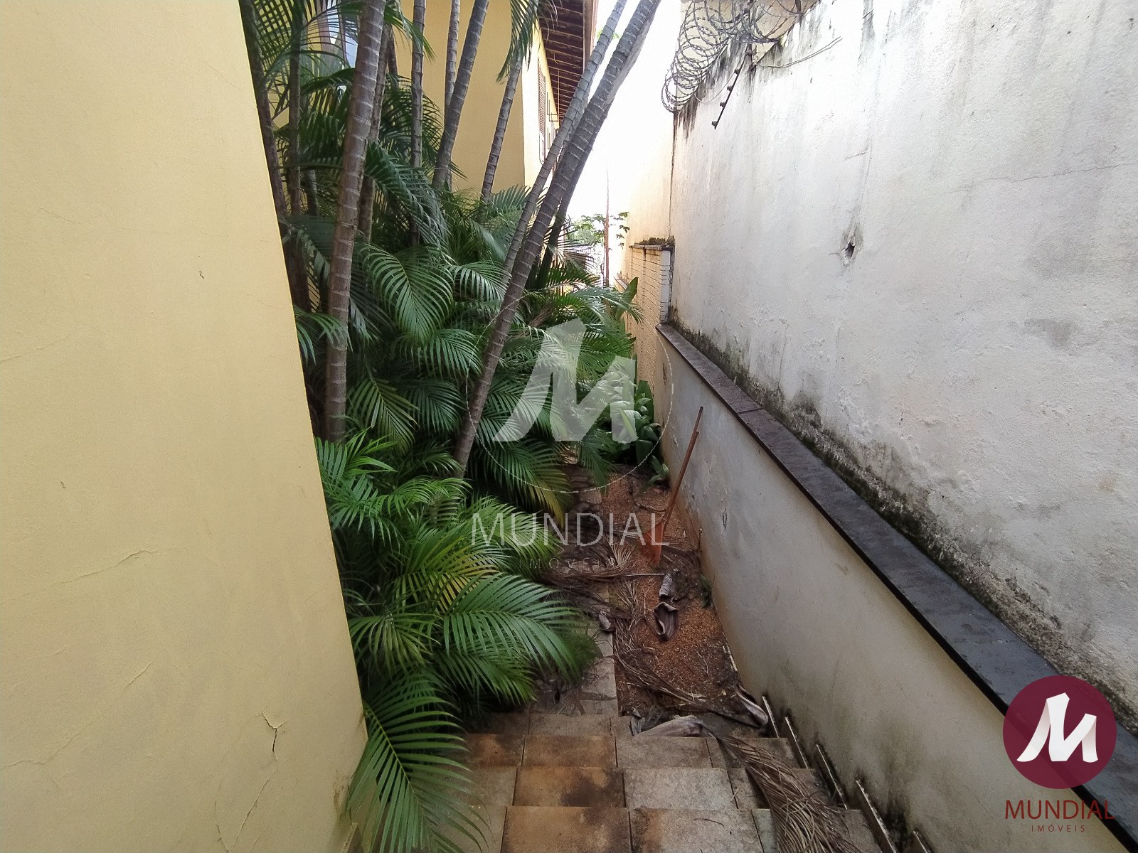 Quintal/corredores — foto 21