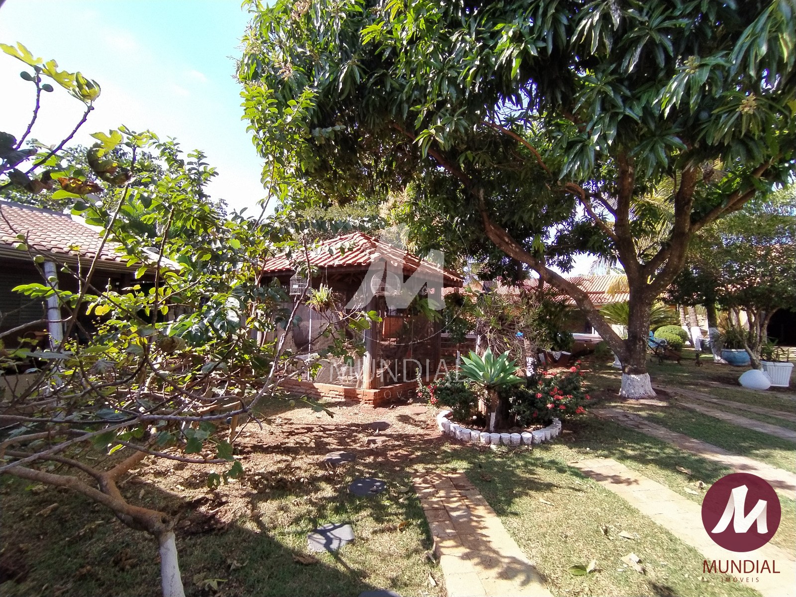 Jardim — foto 35