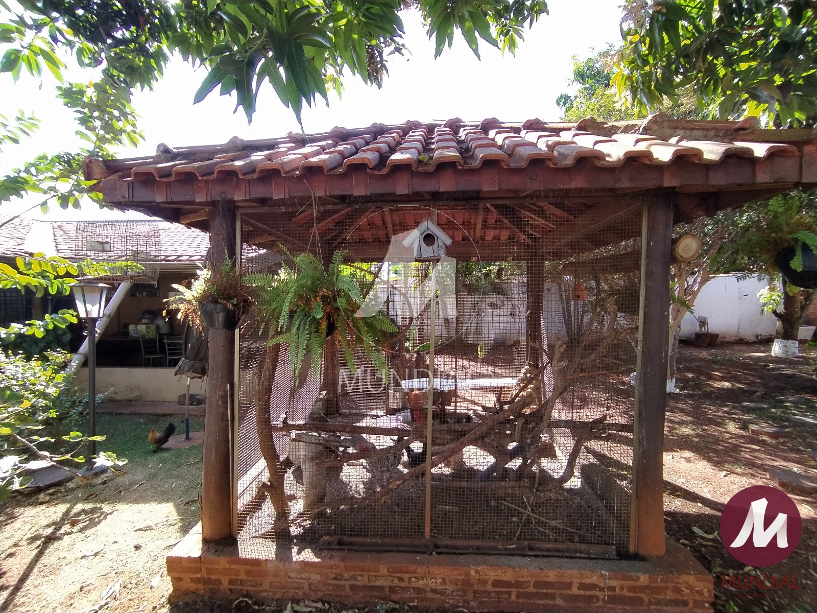Jardim — foto 36