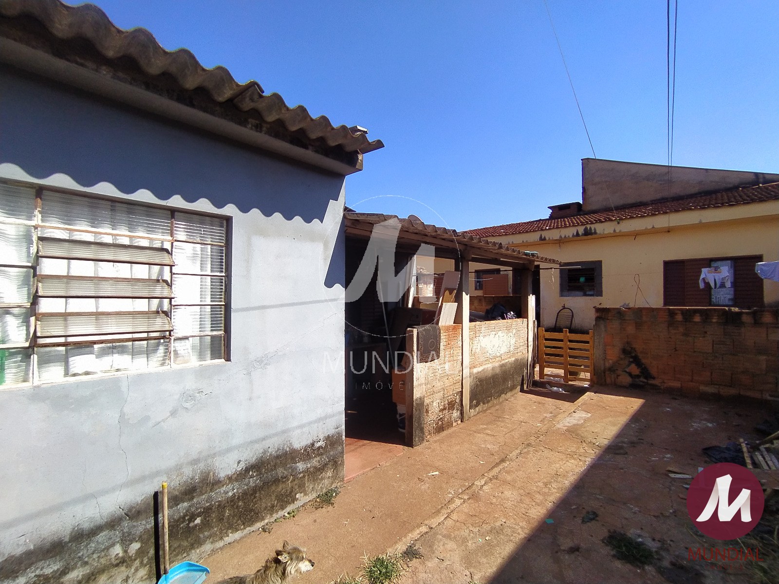 Quintal/corredores — foto 3