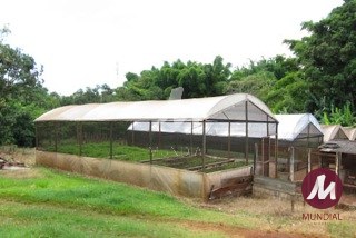 Outras — foto 21
