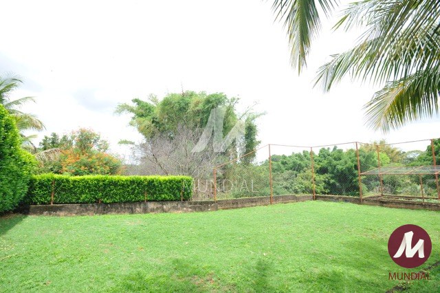 Quintal/corredores — foto 20