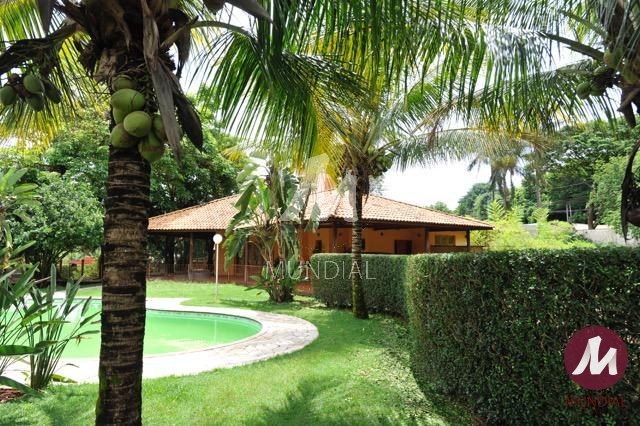 Quintal/corredores — foto 19