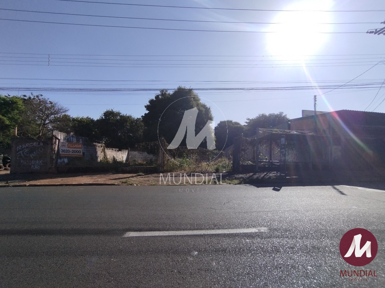 Terreno/Lote — foto 1