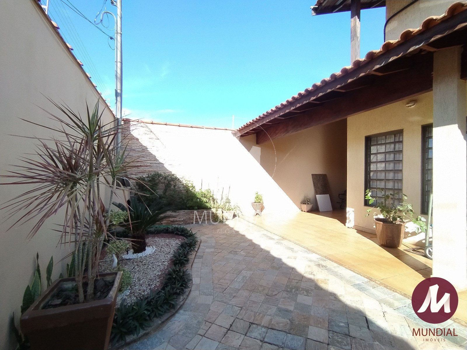 Jardim — foto 4