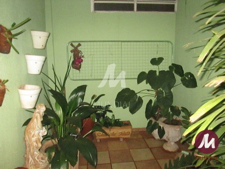 Jardim — foto 2