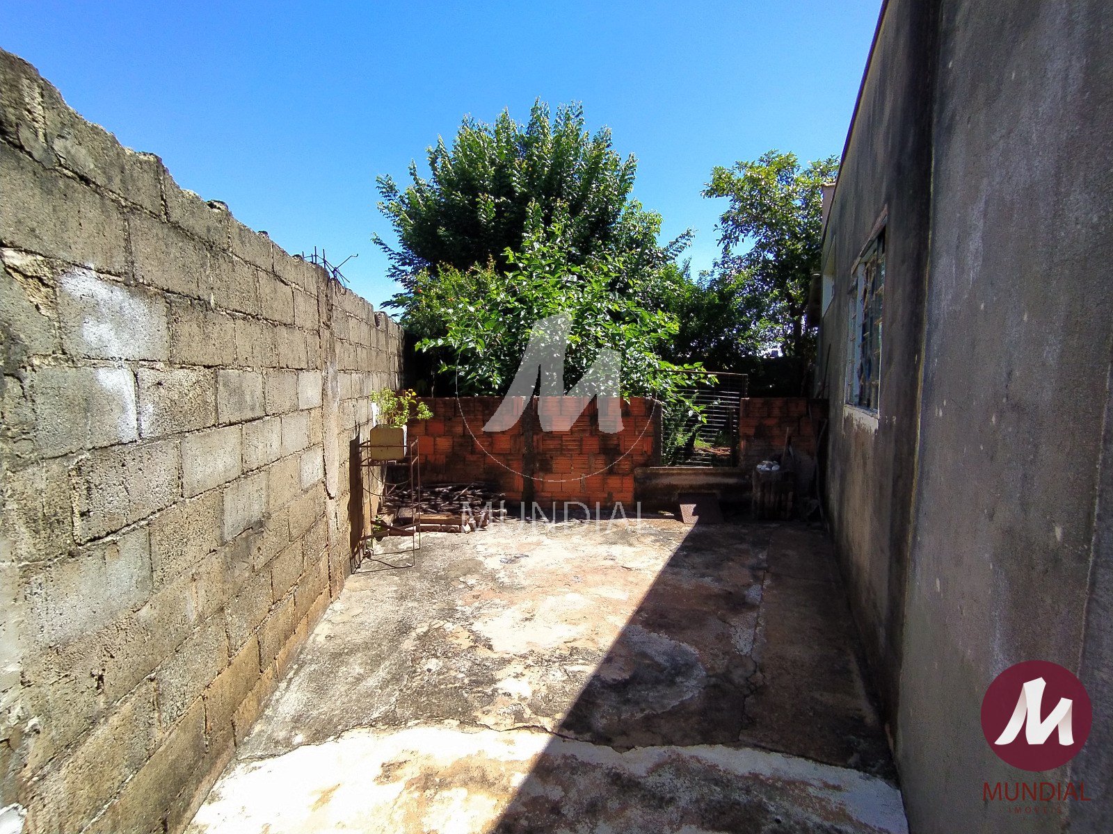 Quintal/corredores — foto 15