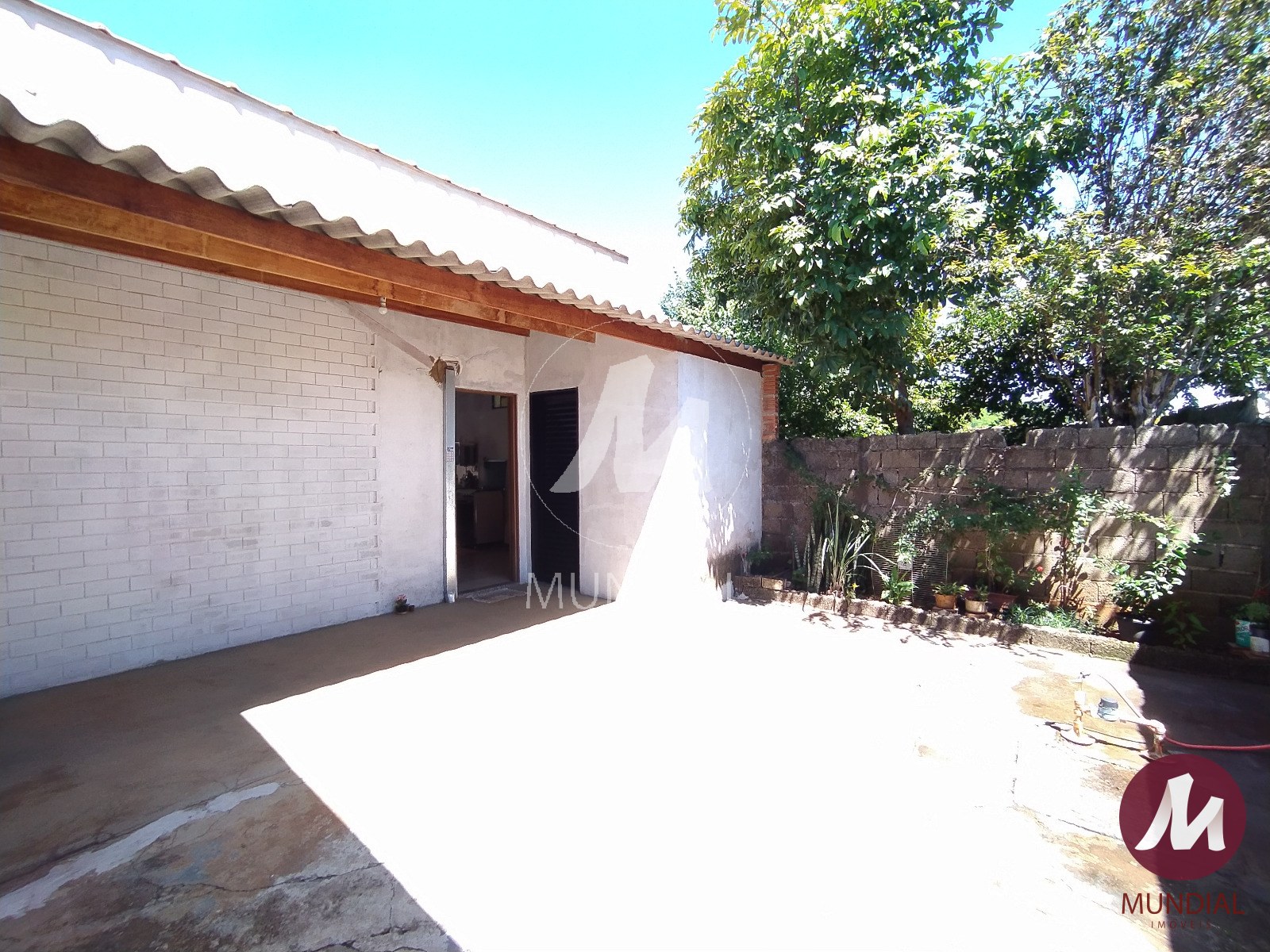 Quintal/corredores — foto 17