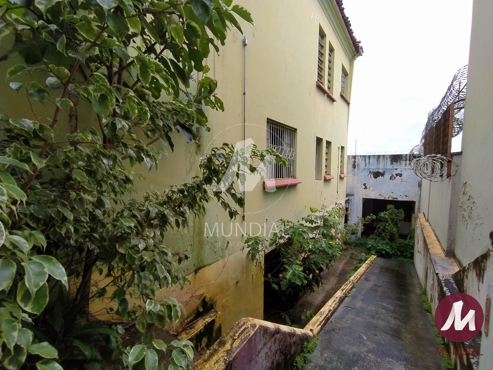 Quintal/corredores — foto 7