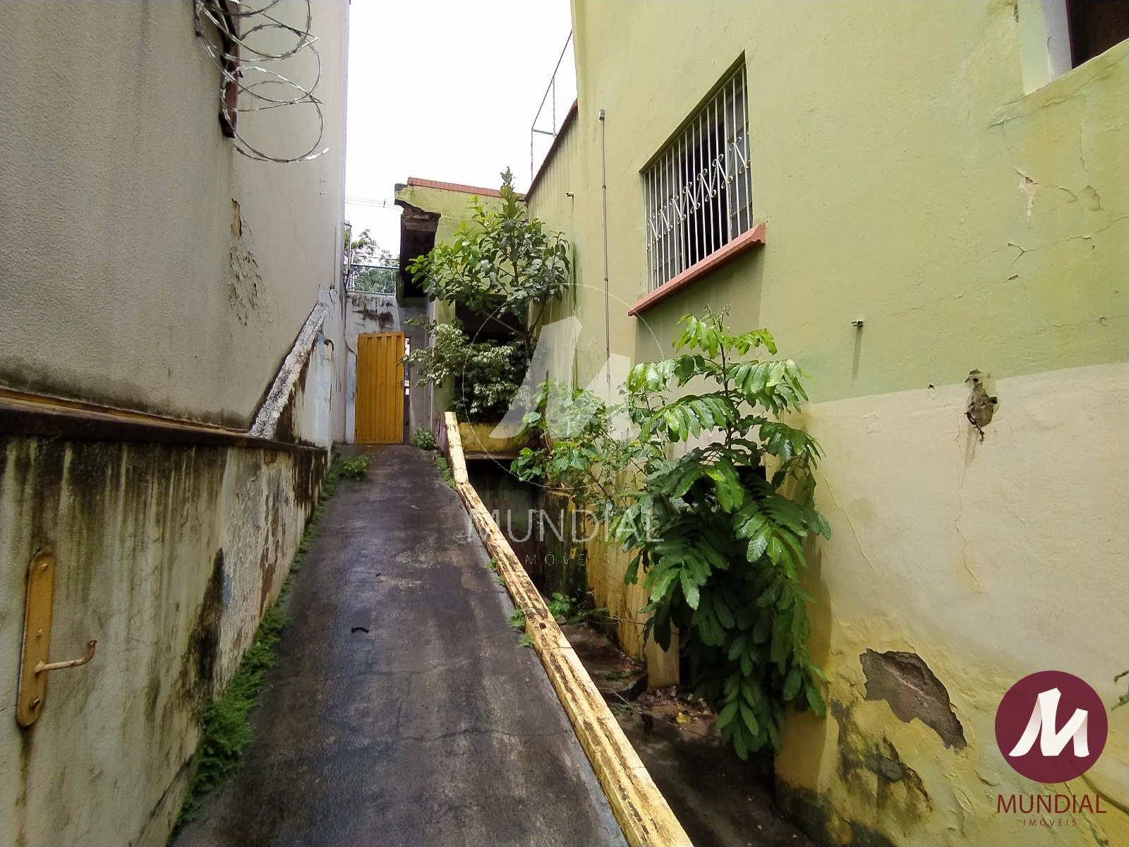 Quintal/corredores — foto 8