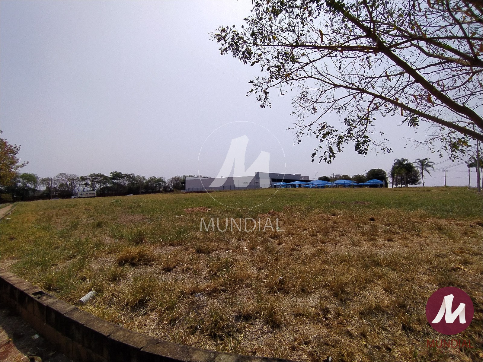 Terreno/Lote — foto 2
