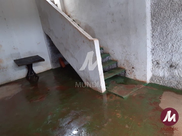 Outras — foto 2