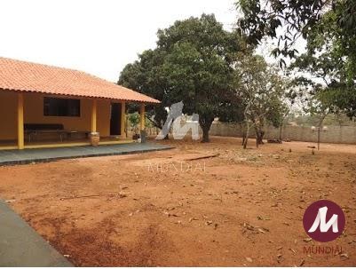 Jardim — foto 19