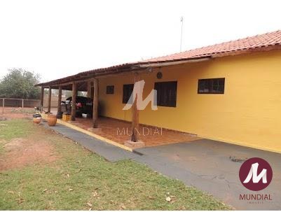 Quintal/corredores — foto 22