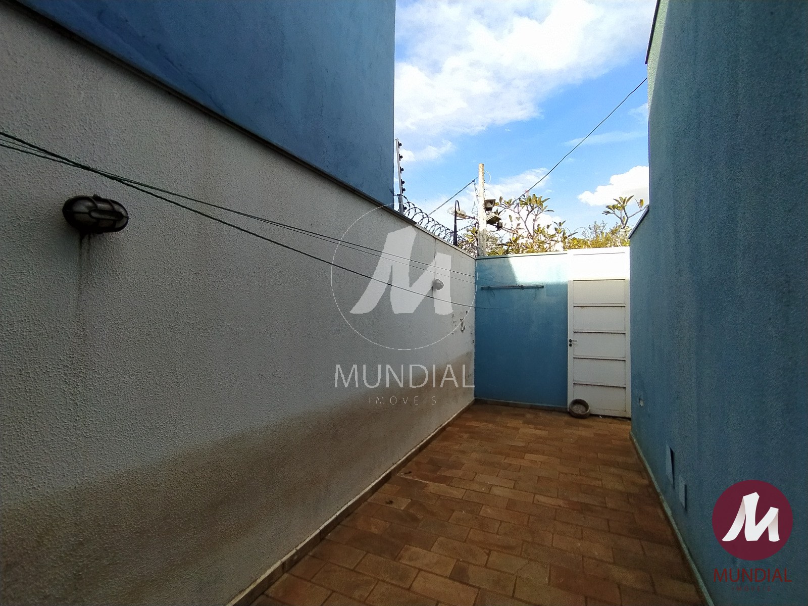 Quintal/corredores — foto 44