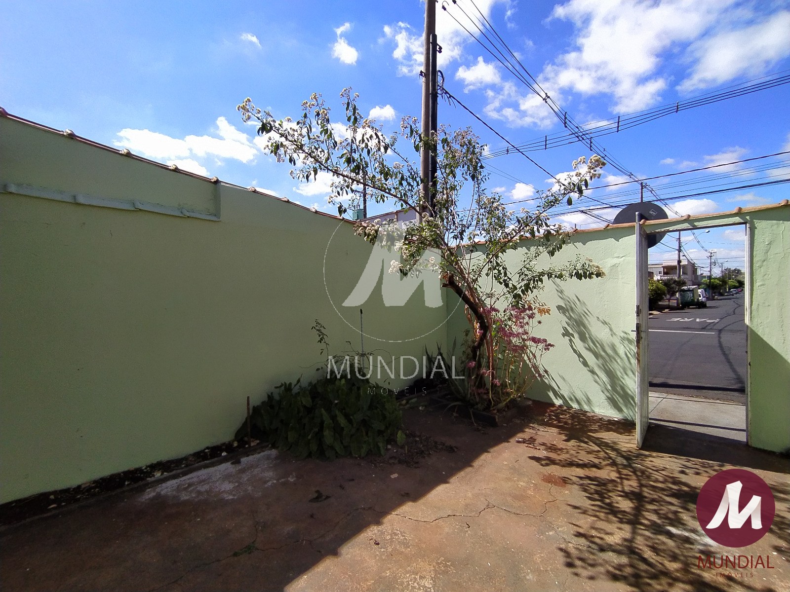 Quintal/corredores — foto 19