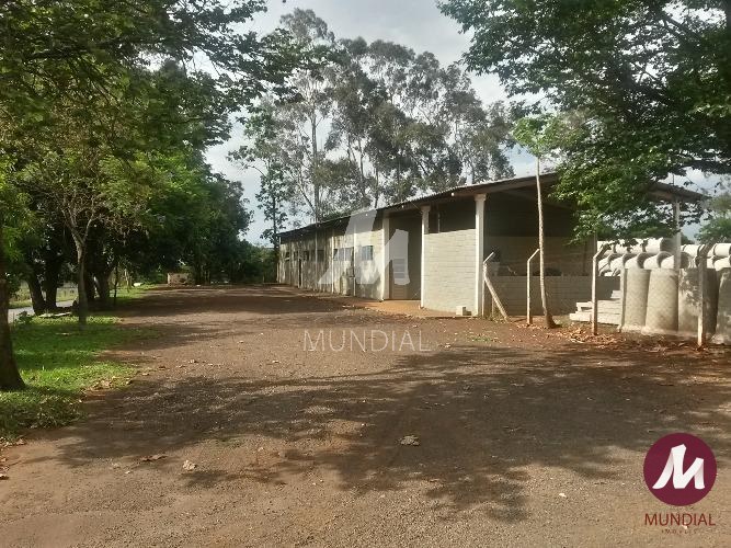 Outras — foto 10