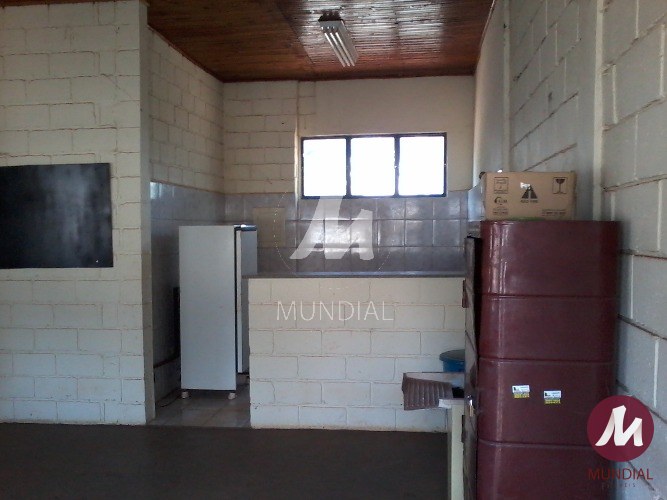 Copa — foto 18