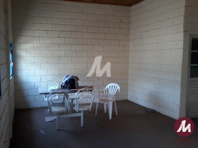 Copa — foto 19