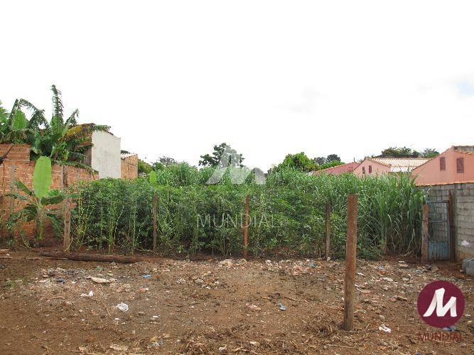 Terreno/Lote — foto 2
