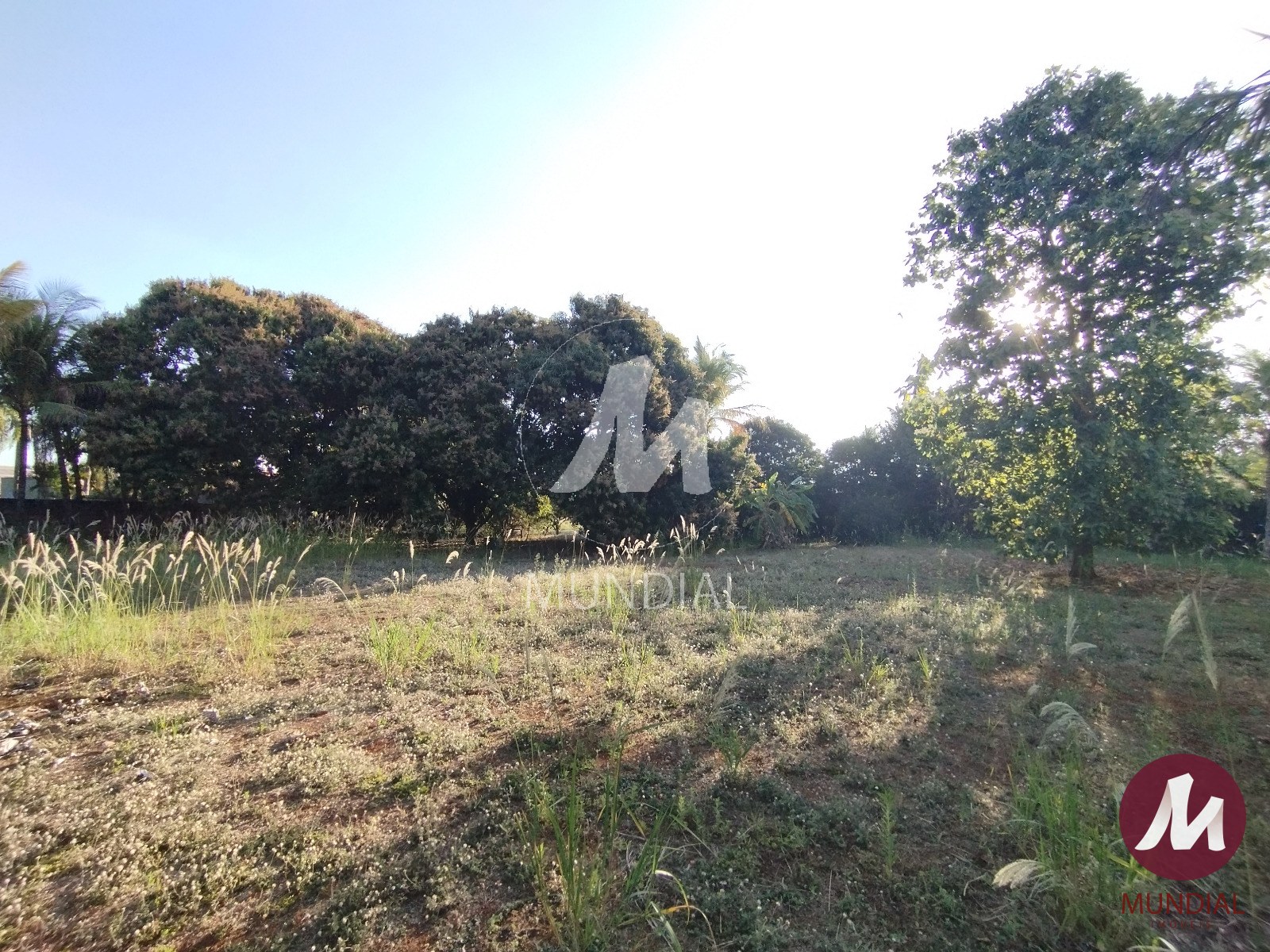 Terreno/Lote — foto 1