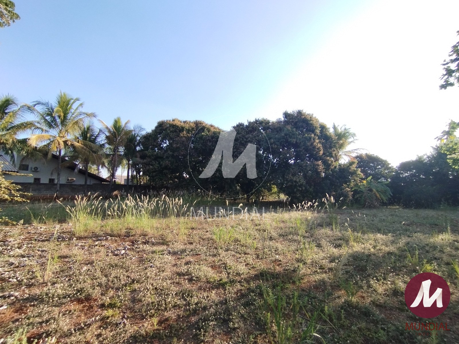 Terreno/Lote — foto 2
