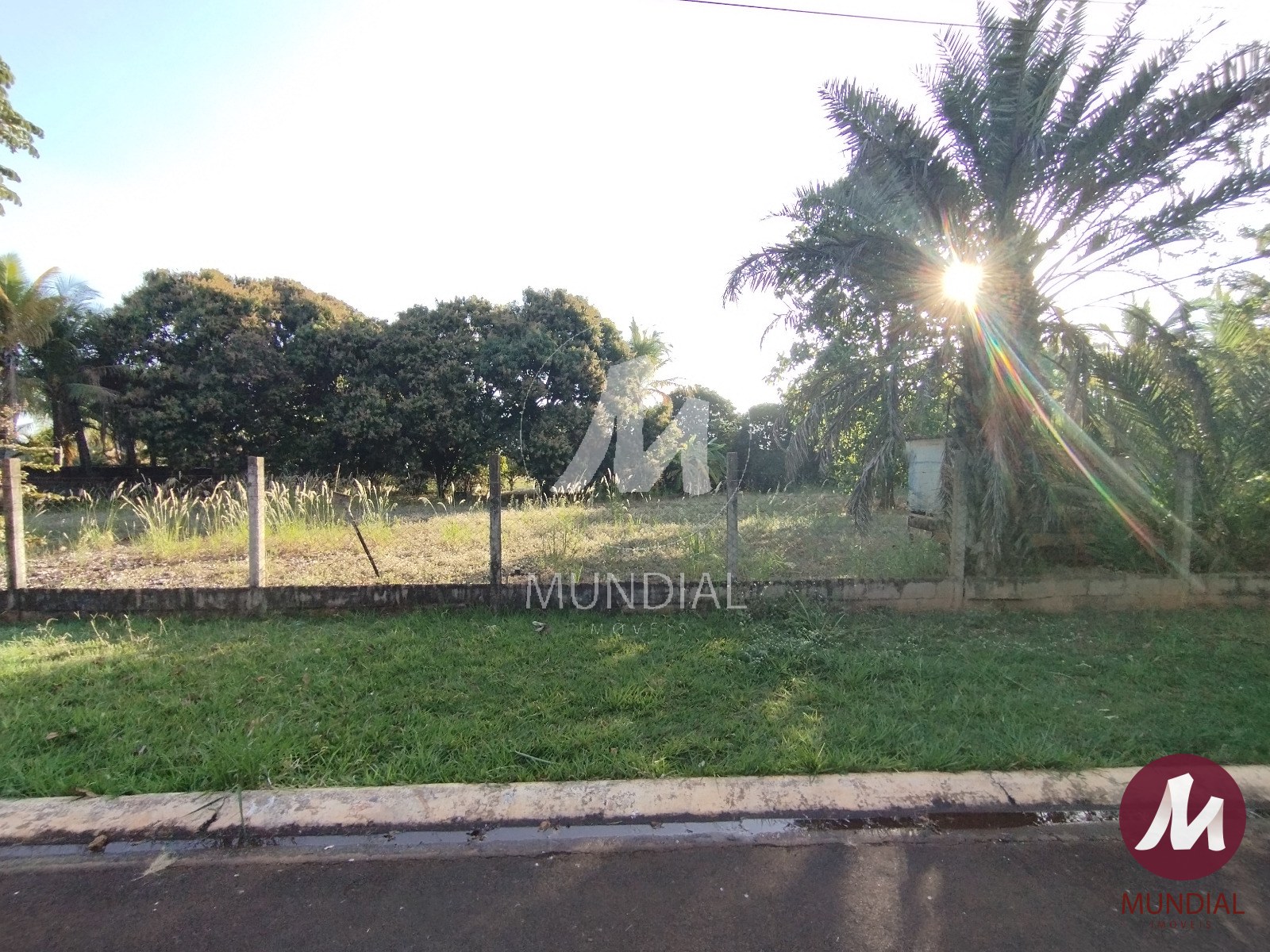 Terreno/Lote — foto 3