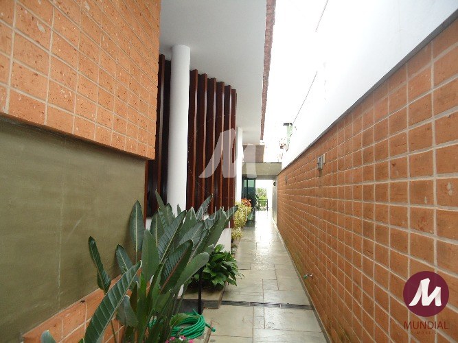 Quintal/corredores — foto 4