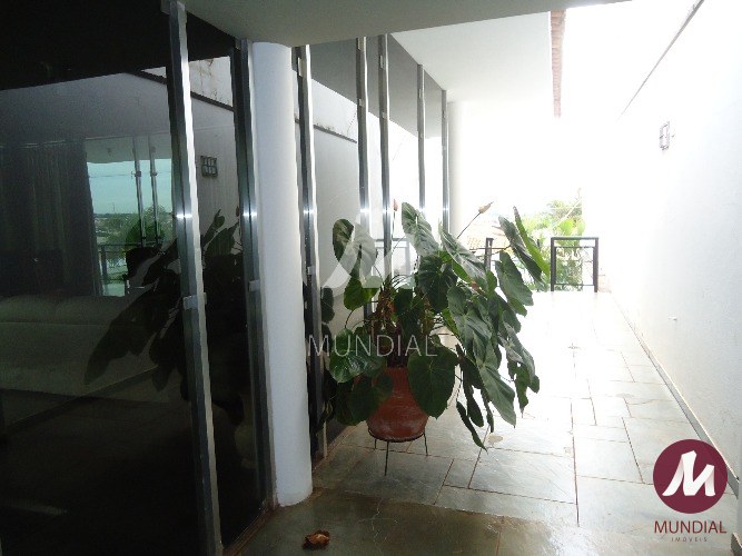 Quintal/corredores — foto 15