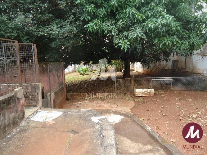 Terreno/Lote — foto 32