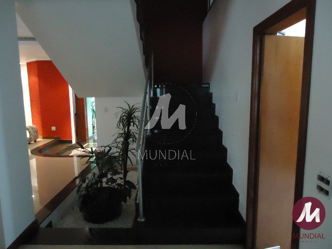 Outras — foto 15