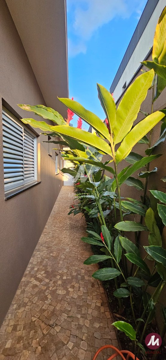 Jardim — foto 24