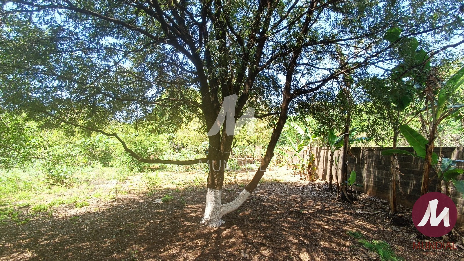 Terreno/Lote — foto 1
