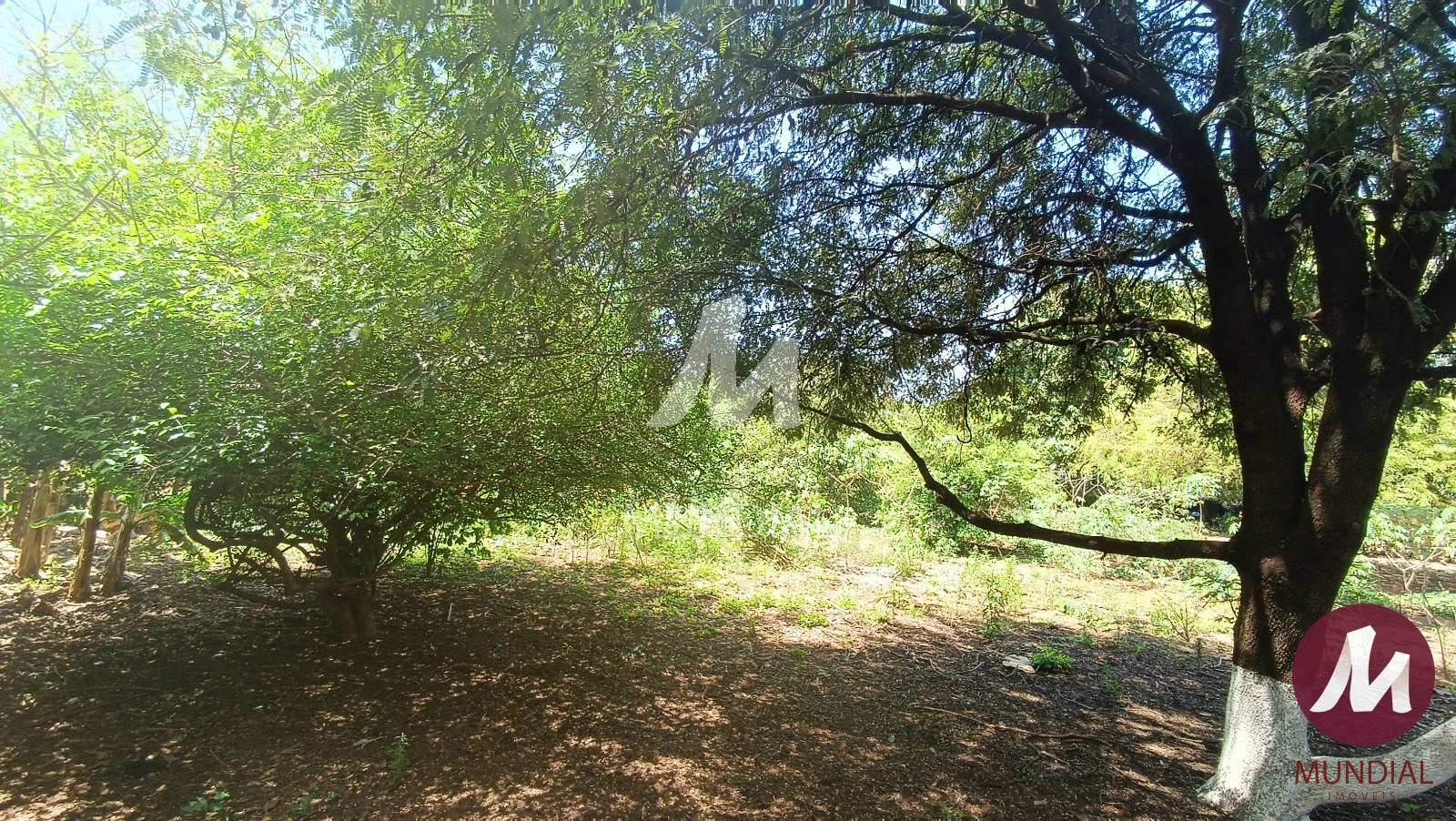 Terreno/Lote — foto 2