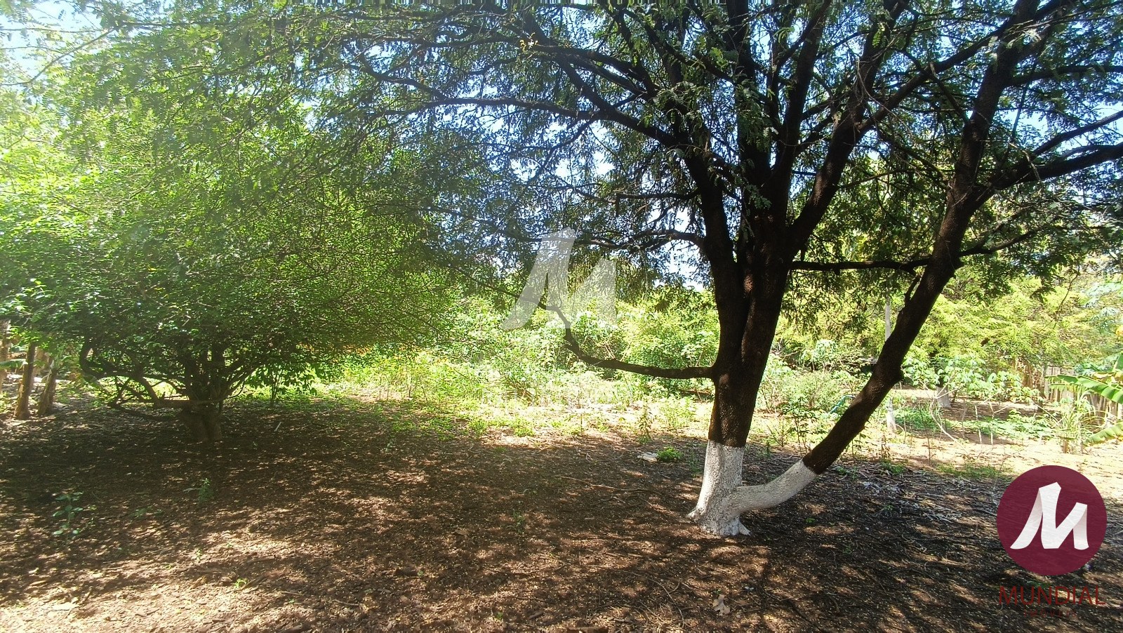 Terreno/Lote — foto 3